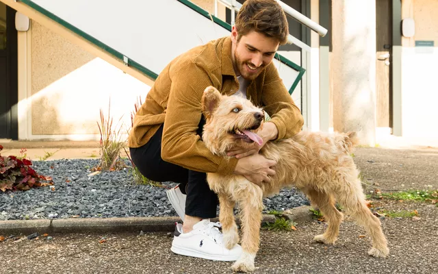 Animaux de compagnie