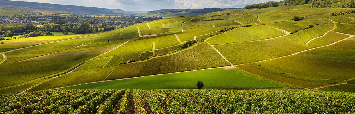 hôtels Première Classe champagne ardenne