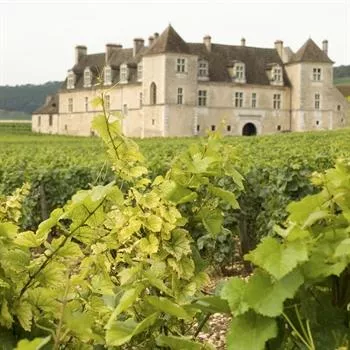 Hôtels Première Classe Dijon